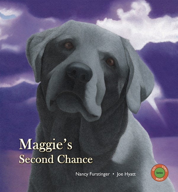 Book cover image for Maggie's Second Chance ISBN: 9780940719118